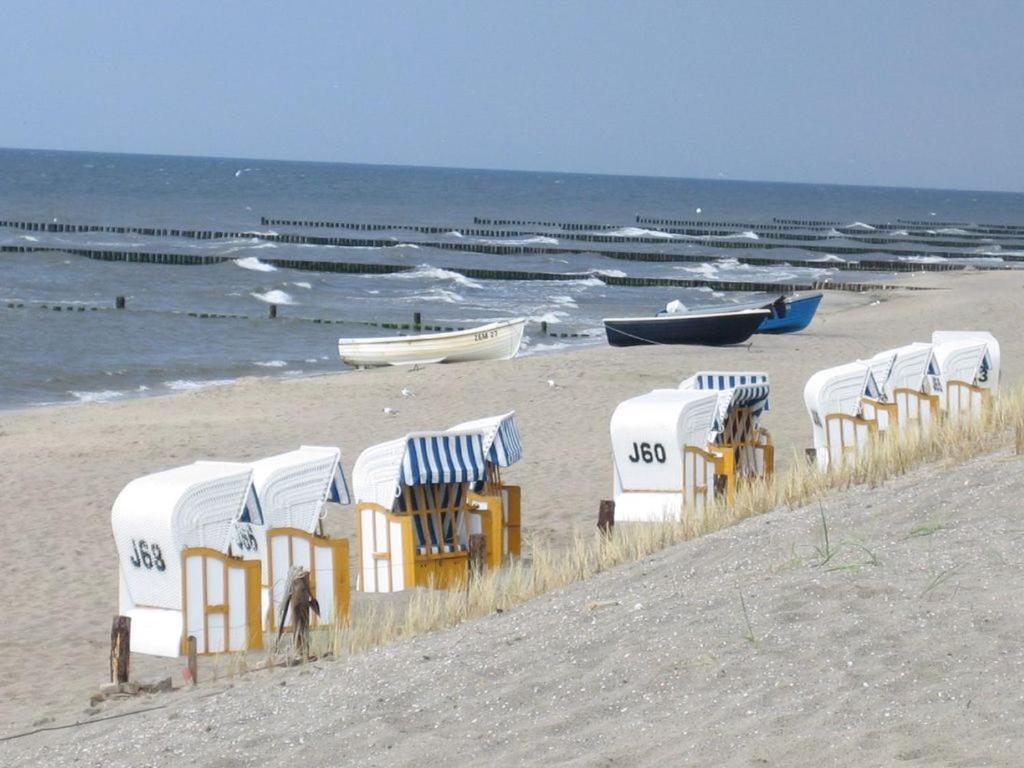 Ferienwohnung 'Bei Den Buchen' Zempin Zewnętrze zdjęcie