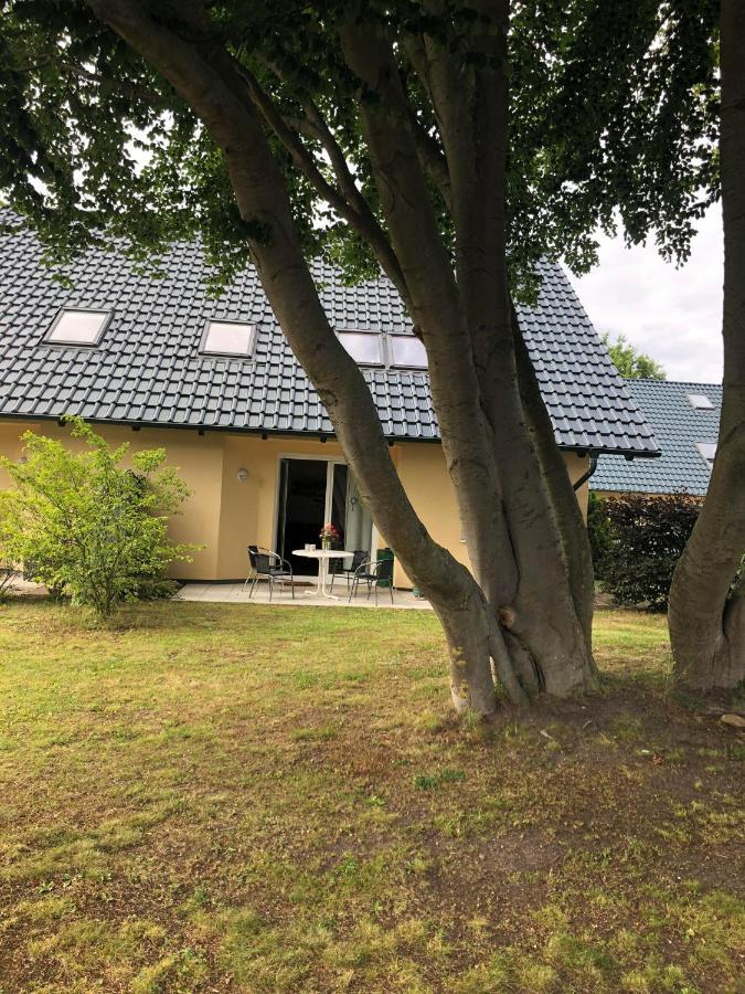 Ferienwohnung 'Bei Den Buchen' Zempin Zewnętrze zdjęcie
